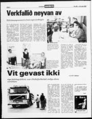 Síða 2