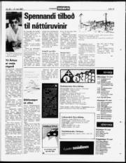 Síða 19