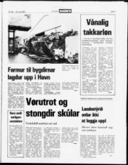 Síða 3