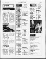 Síða 13