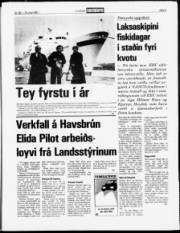 Síða 5