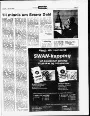 Síða 17
