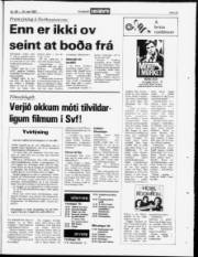 Síða 23