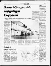 Síða 5