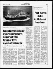 Síða 9