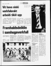 Síða 13