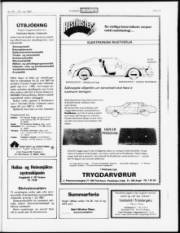 Síða 15