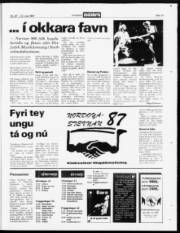 Síða 19