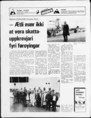 Síða 20
