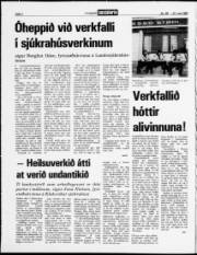 Síða 2