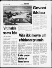 Síða 3