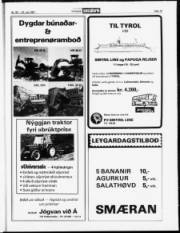 Síða 19