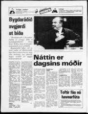 Síða 24