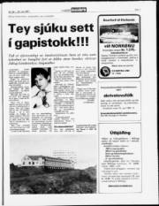 Síða 7