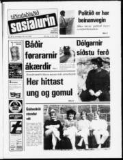 Síða 1
