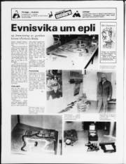 Síða 16