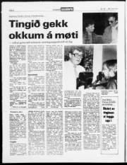Síða 4
