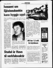 Síða 7