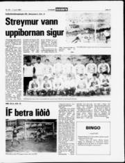 Síða 11