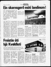Síða 3