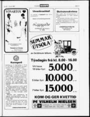 Síða 17
