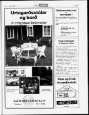 Síða 19
