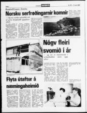 Síða 2
