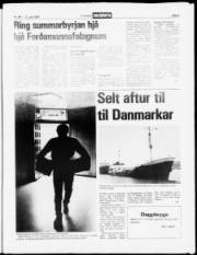 Síða 5