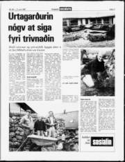 Síða 11