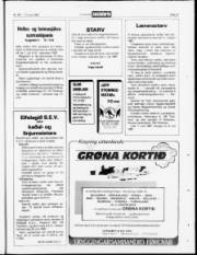 Síða 21