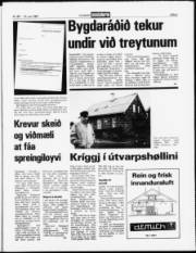 Síða 5