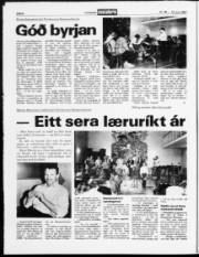Síða 8