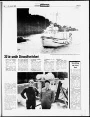 Síða 15