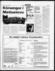 Síða 23