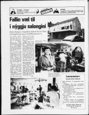 Síða 24