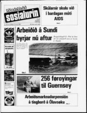 Síða 1