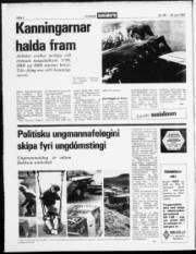 Síða 2