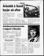 Síða 3