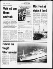 Síða 5
