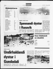 Síða 8