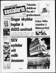 Síða 1