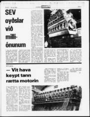 Síða 3
