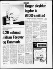 Síða 5