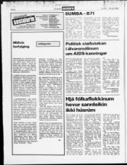 Síða 6