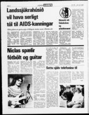 Síða 4