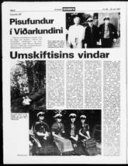 Síða 8