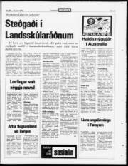 Síða 23
