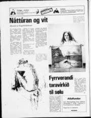 Síða 24