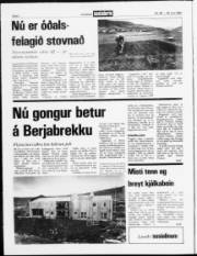 Síða 2