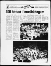Síða 20